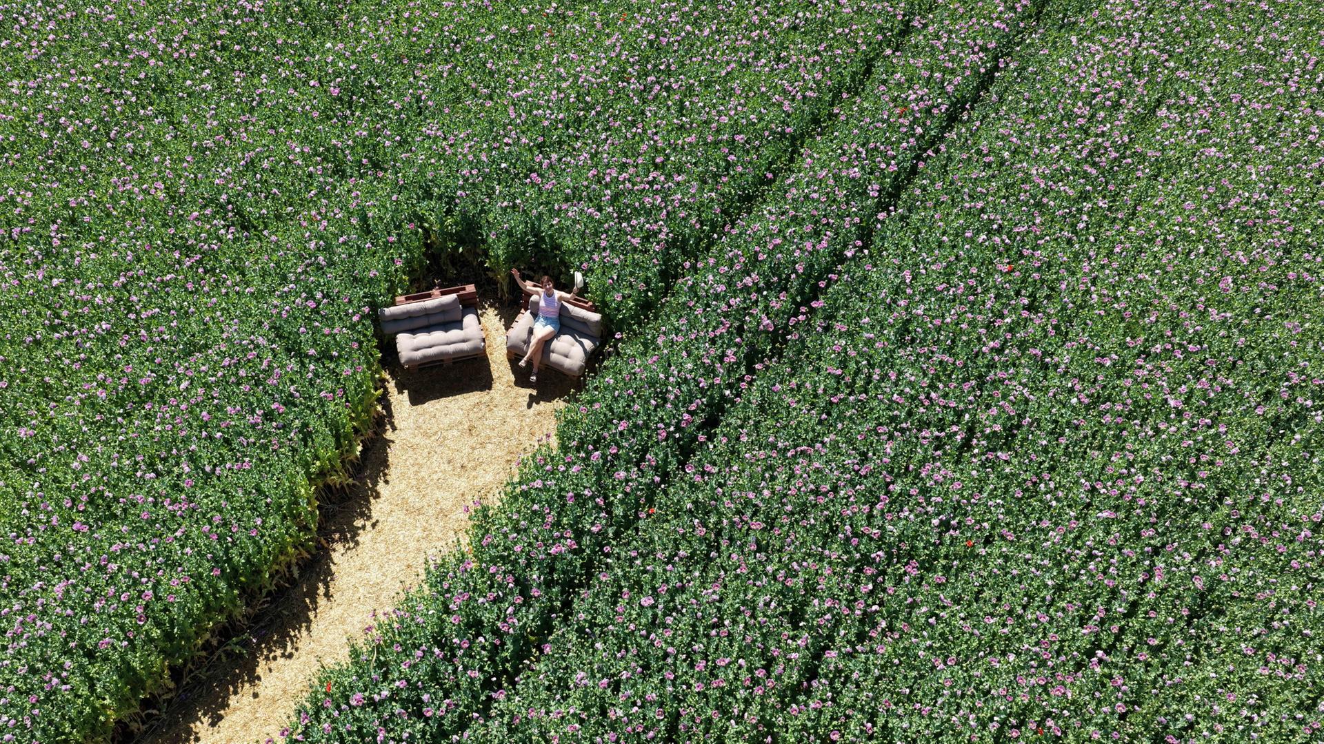 Eine Frau sitzt in einem Feld von lila MohnblÃ¼ten in einem Feld der ÃhlmÃ¼hle Erlenbach (Baden-WÃ¼rttemberg) auf einem Sofa. | Bernd WeiÃbrod/dpa