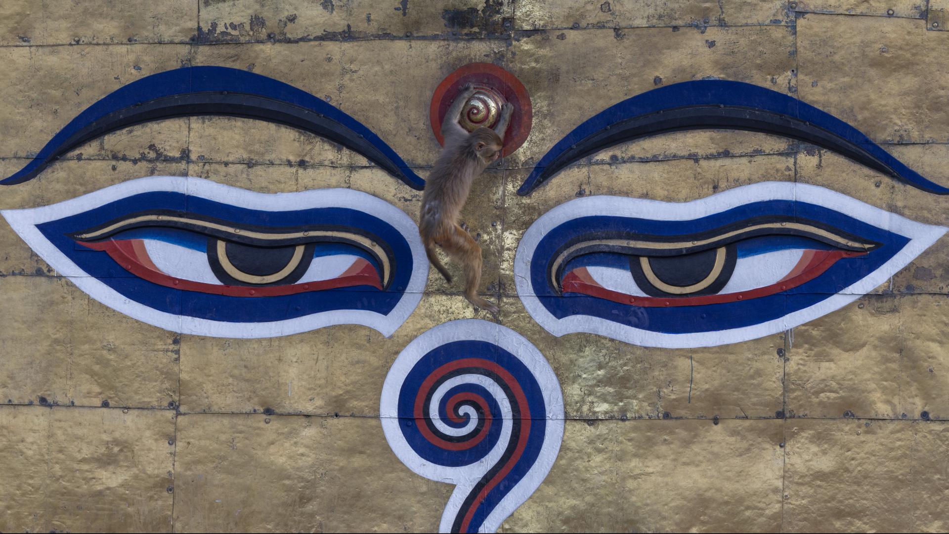 Swayambhunath-Tempel, Cannabis-Messe "Mary Jane Berlin", "Mo