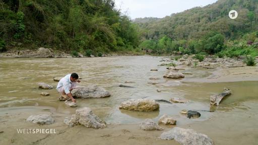 Vergiftete Flüsse in Thailand wegen des Abbaus Seltener Erden in Myanmar