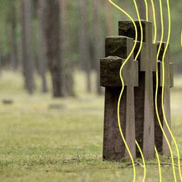 Drei Steinkreuze im Soldatenfriedhof, Waldfriedhof Halbe, eine der größten Kriegsgräberstätten Deutschlands für 28.000 Opfer des Zweiten Weltkriegs.