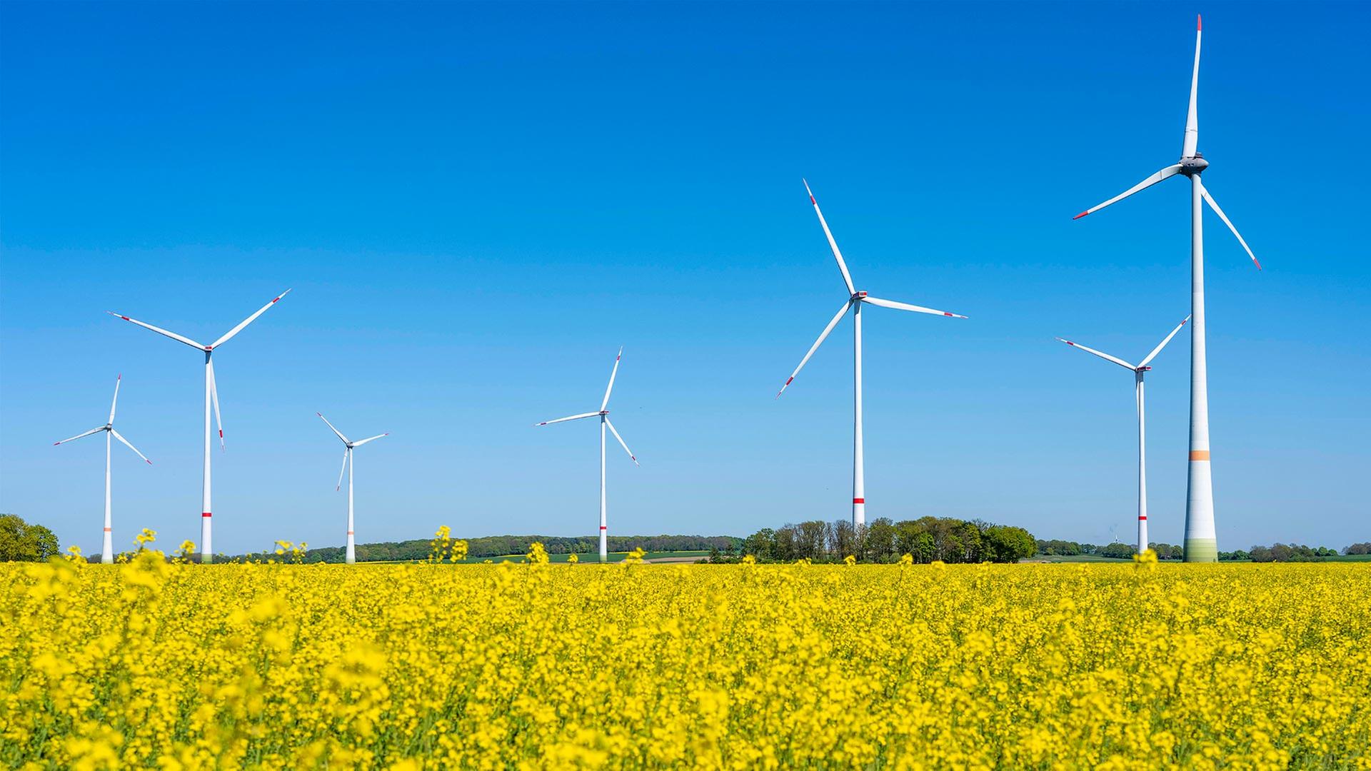 Windpark bei Issum am Niederrhein. | picture alliance / Jochen Tack