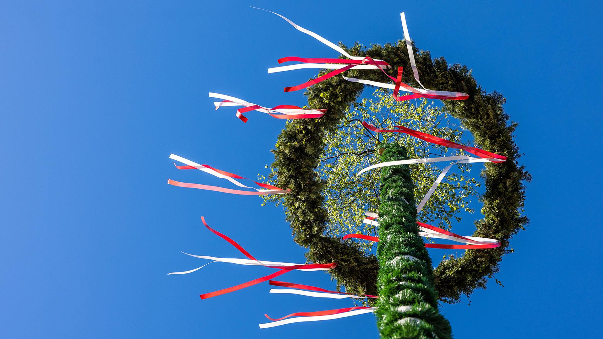 Bunte BÃ¤nder flattern an einem Maibaum | Frank Hammerschmidt/dpa