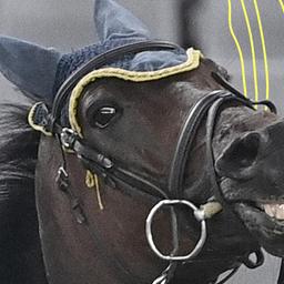 Annika SCHLEU (GER) auf dem Pferd SAINT BOY, am 06.08.2021. Olympische Sommerspiele 2020.