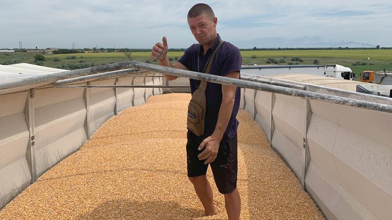 Ein LKW Fahrer steht im Mais den er auf seinem LKW geladen hat.
