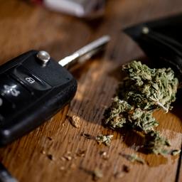 Cannabisblüten liegen auf einem Tisch neben einem Autoschlüssel.