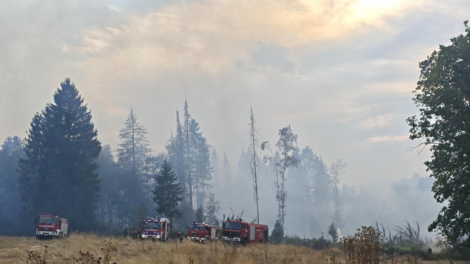 Großer Waldbrand bei Hüttigweiler: Sechs Hektar stehen in Flammen