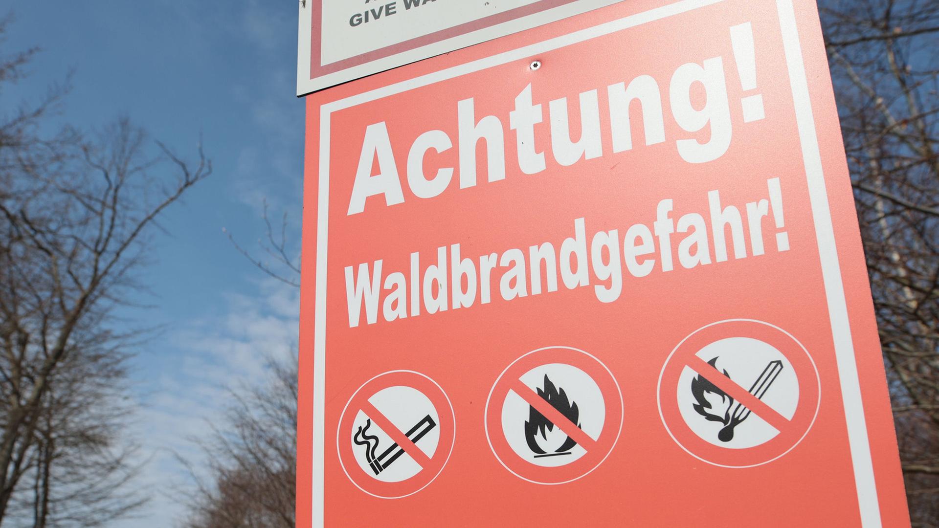Wetterdienst verzeichnet zunehmende Waldbrandgefahr in Deutschland