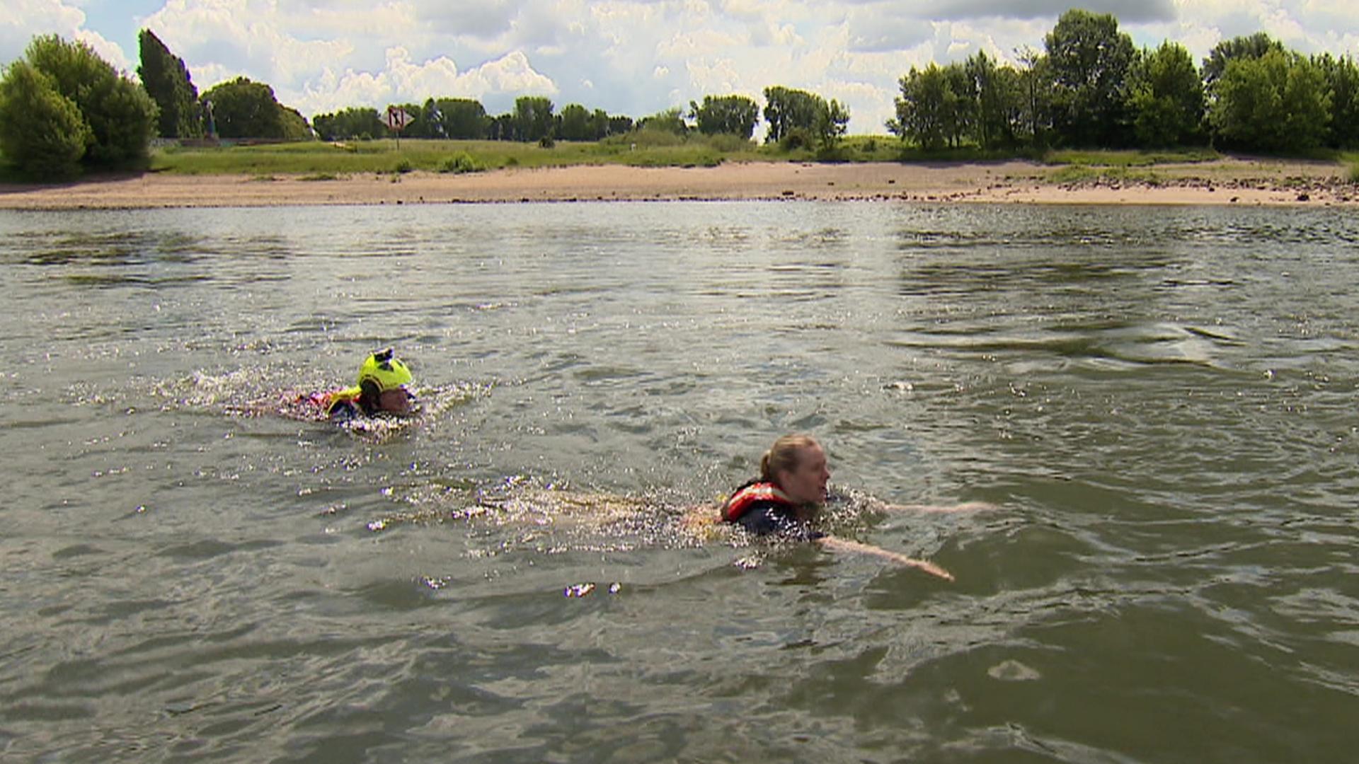 So gefährlich ist das Schwimmen im Rhein