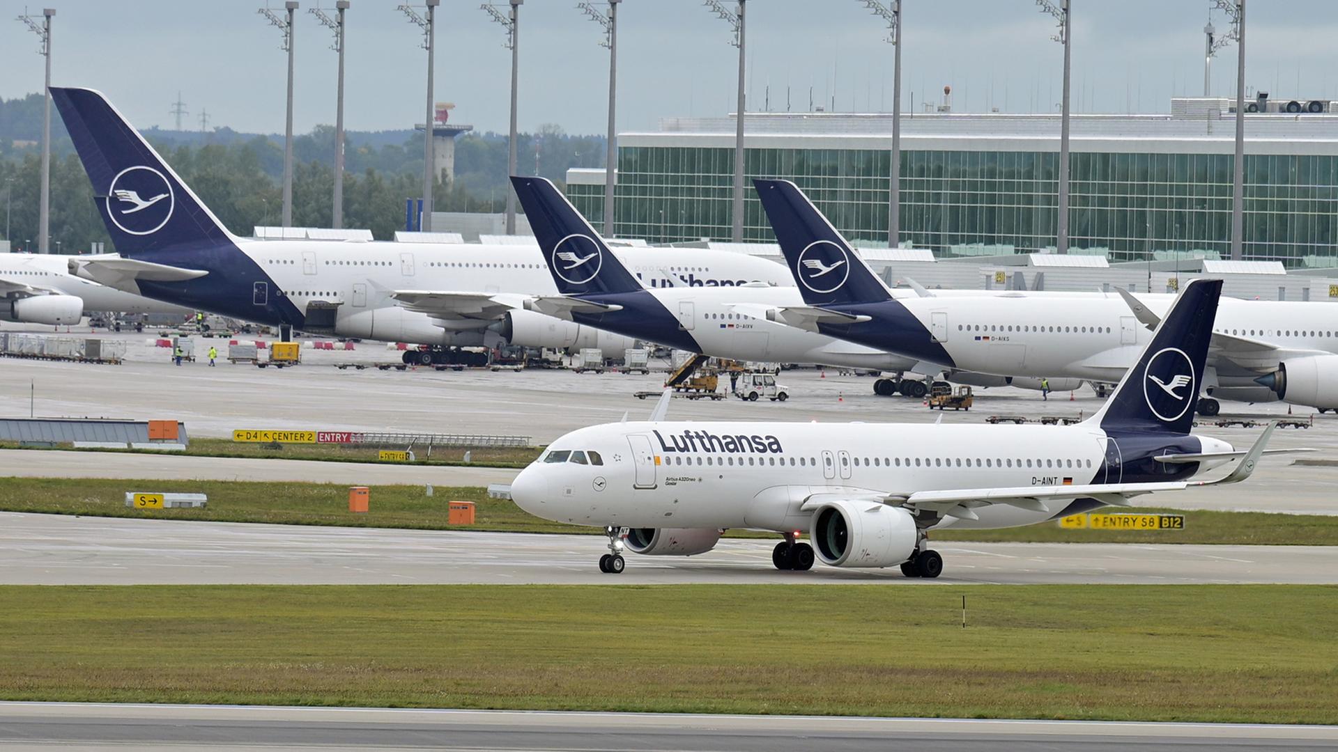 Lufthansa-Flugzeuge sind am Flughafen München zu sehen. | dpa