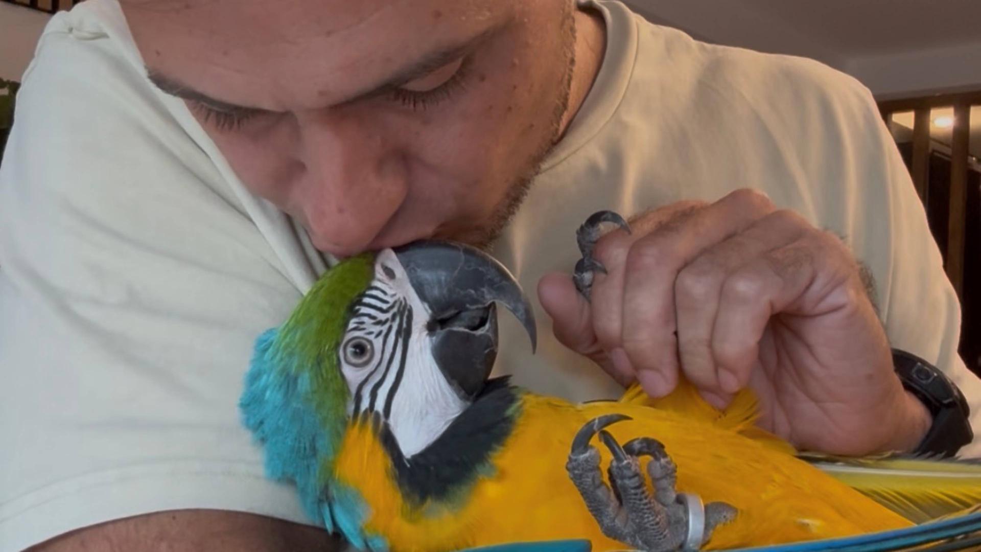 Papagei Pina findet ein neues Zuhause