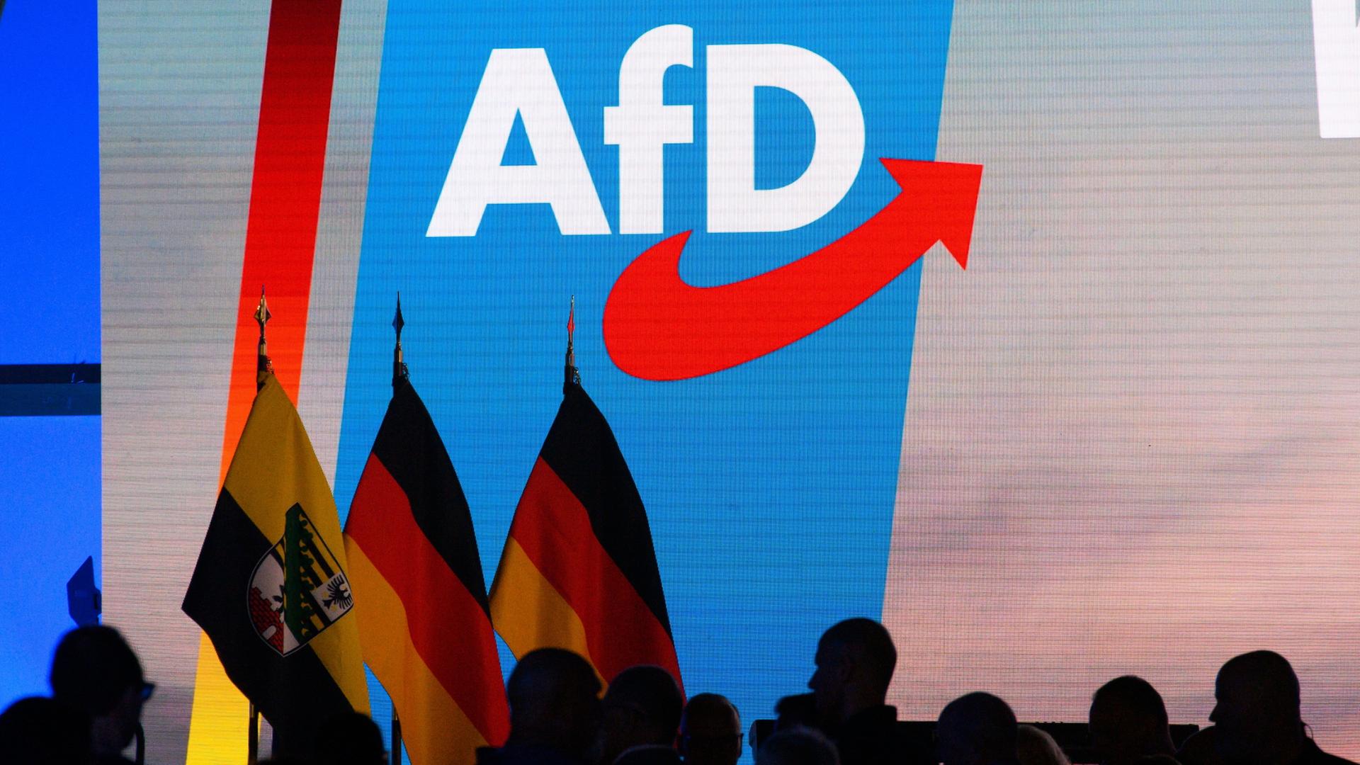 Teilnehmer warten auf den Beginn des Wahlkampfauftakts der AfD Sachsen-Anhalt.  | Klaus-Dietmar Gabbert/dpa