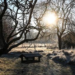 Raureif glitzert auf Gräsern in Hintersee, Mecklenburg-Vorpommern