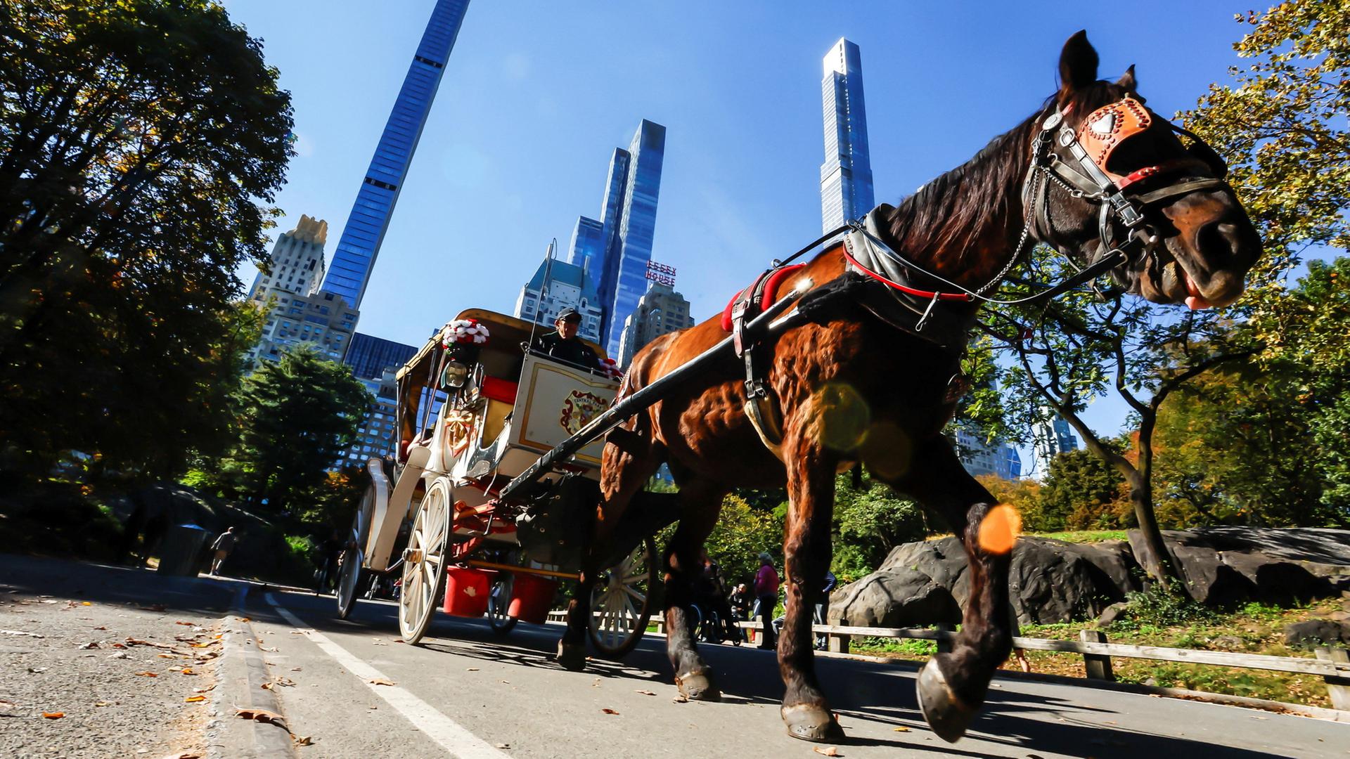 Pferdekutschen im New Yorker Central Park sollen abgeschafft werden