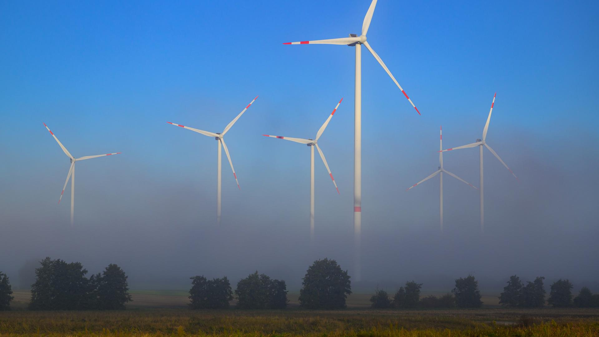Windenergieanlage in Brandenburg im Morgennebel | dpa