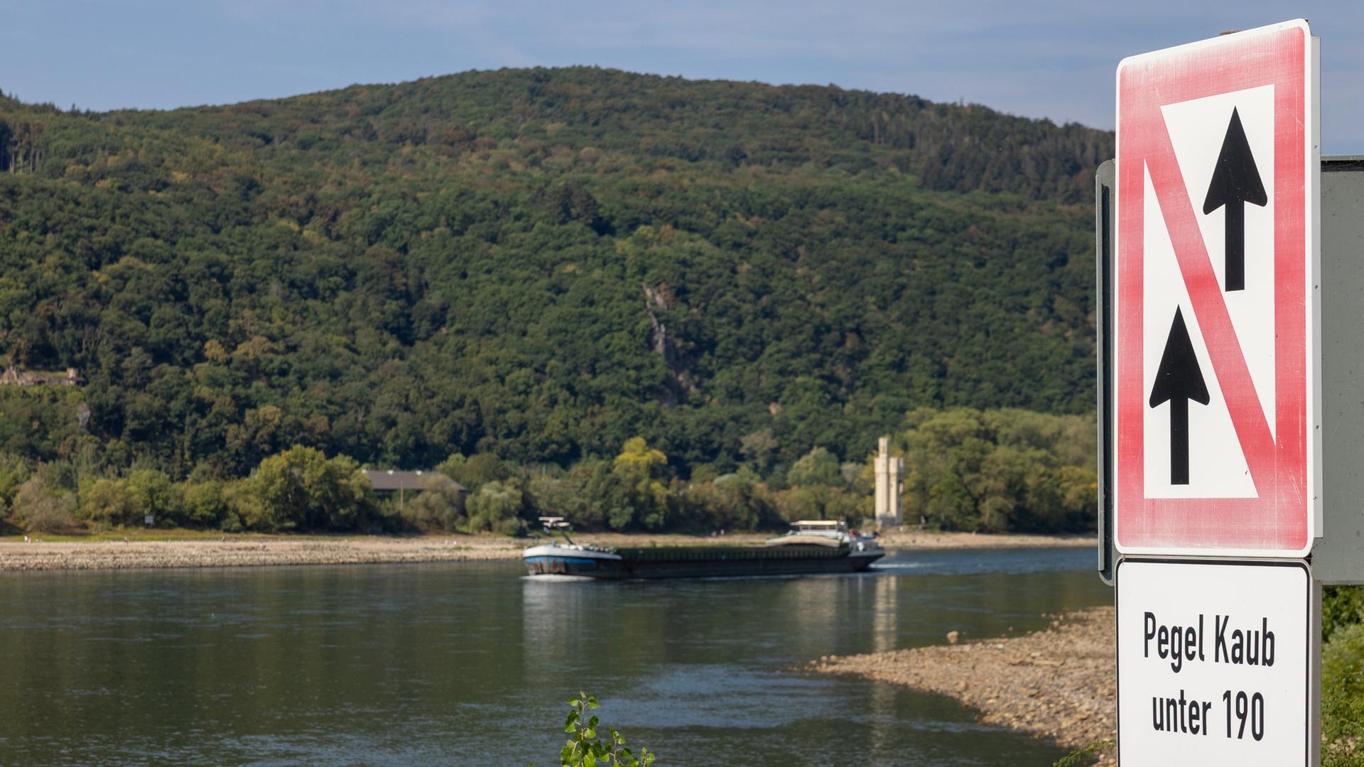 Niedrigwasser im Rhein: Hessen und weitere Länder fordern mehr Geld vom Bund