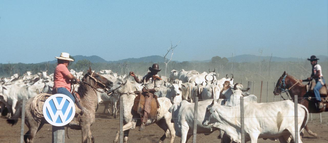 Gauchos zu Pferd treiben Rinder vor einem Pferch zusammen, vorn auf einem Pfahl das VW-Logo. (Aufnahme um 1978).