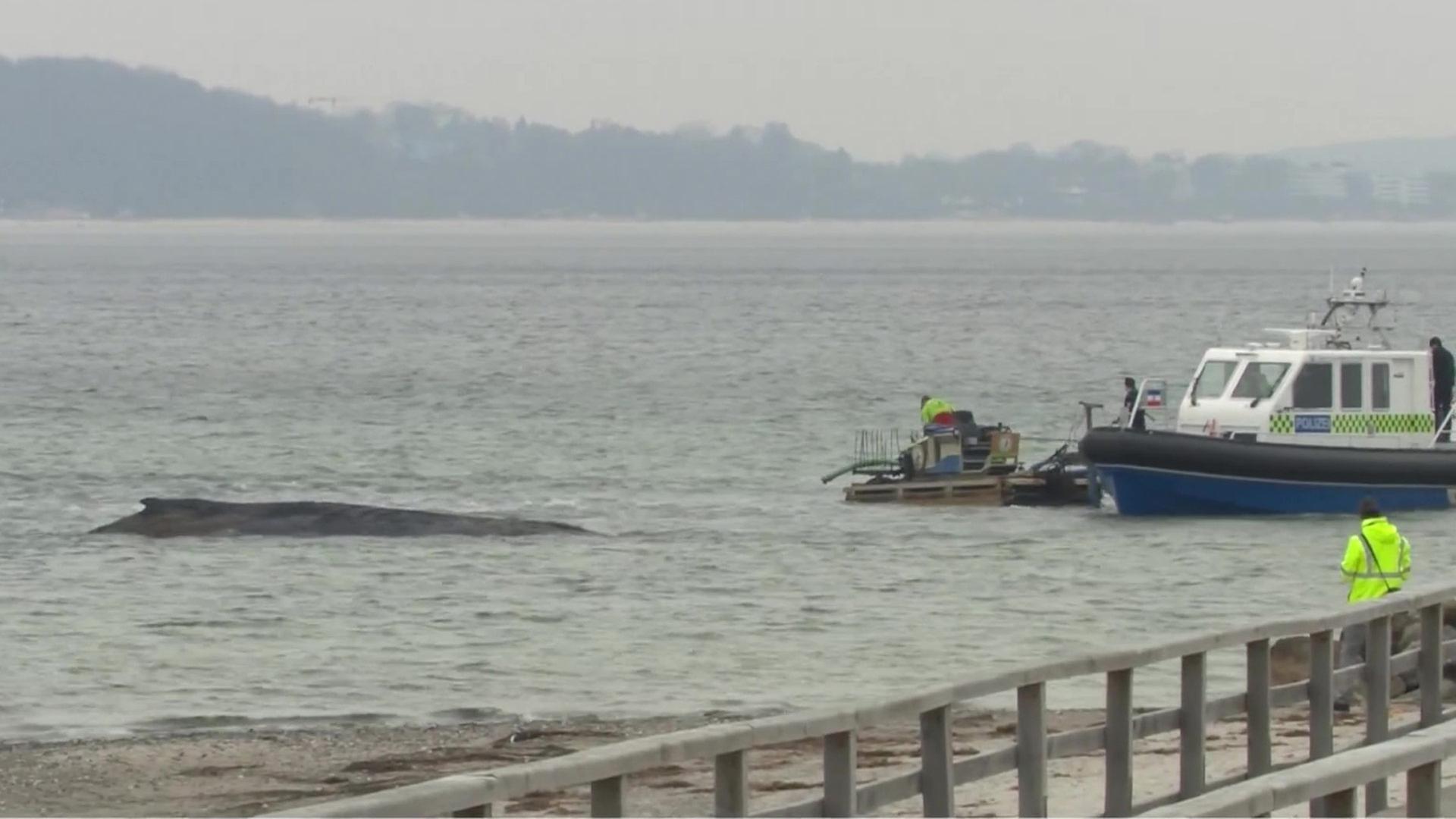 Sendungsbild | ARD-aktuell