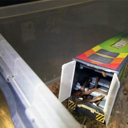 Schlangen in einem Karton