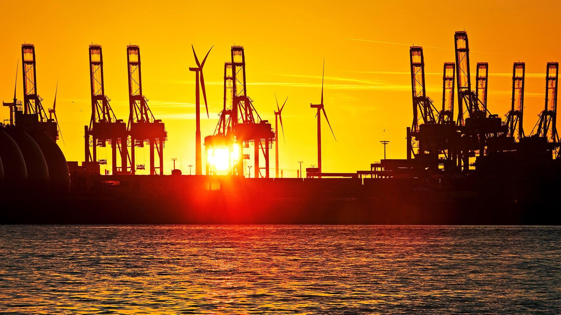 Verladekräne am Containerterminal bei Sonnenuntergang, Hamburger Hafen. | picture alliance / blickwinkel/S