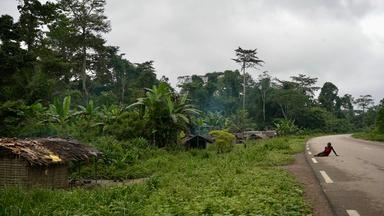 Blick auf einen Teil eines Dorfes im Regenwald im Kongo.