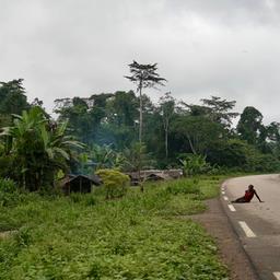 Blick auf einen Teil eines Dorfes im Regenwald im Kongo.