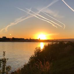 Kondensstreifen am Himmel über Mainz