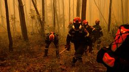 Griechische Feuerwehrleute versuchen einen Waldbrand bei Porto Germeno zu löschen.