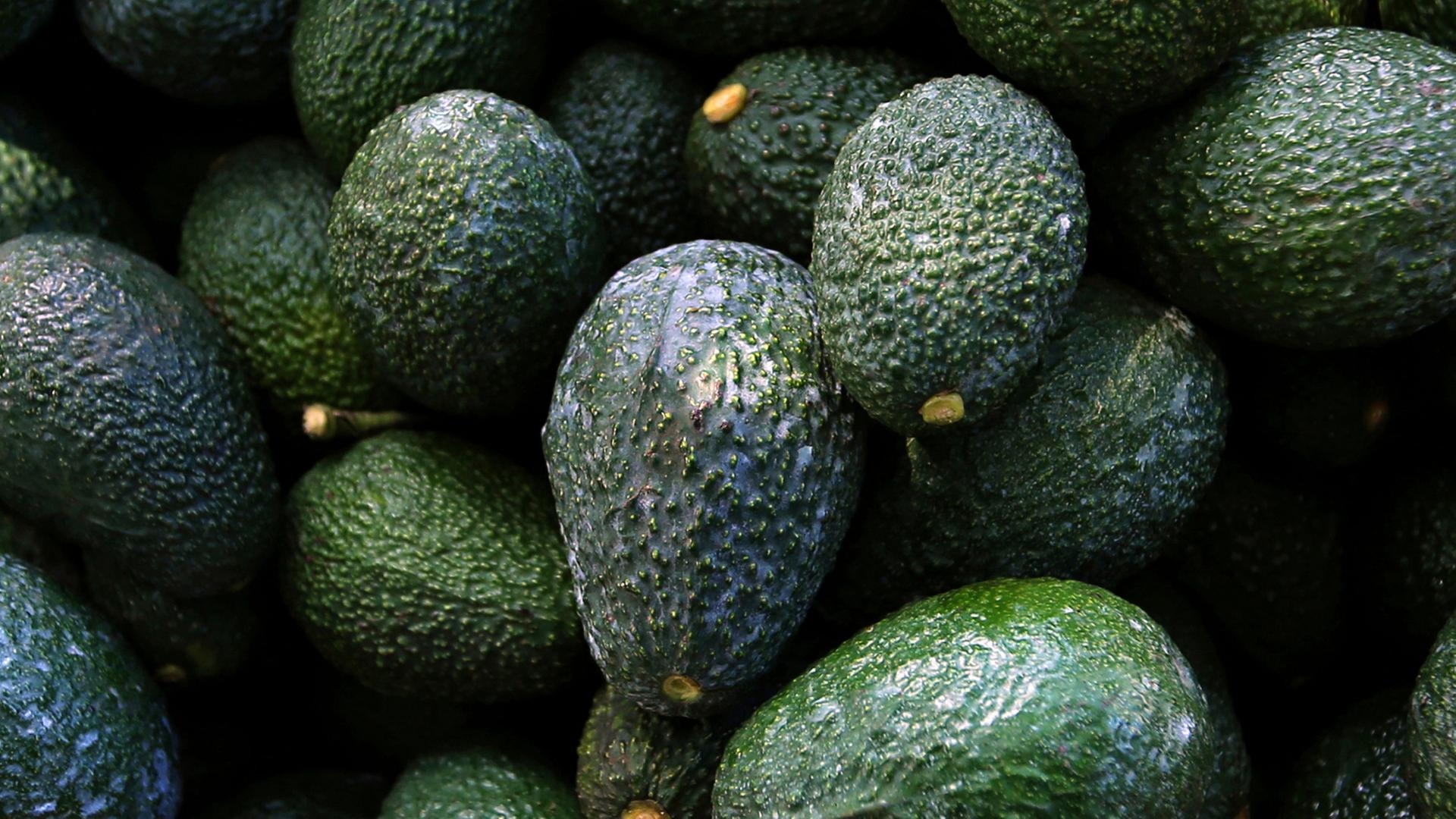 Geerntete Avocados werden in einem Markt angeboten | AP