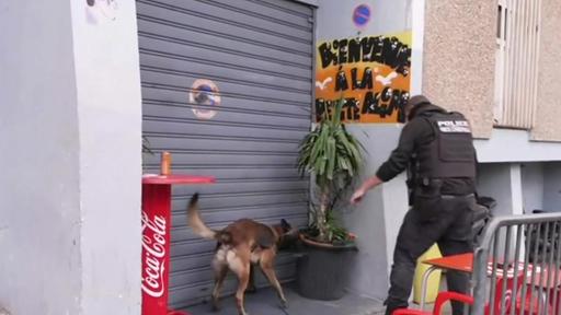 Kampf gegen Drogenbanden in Frankreich
