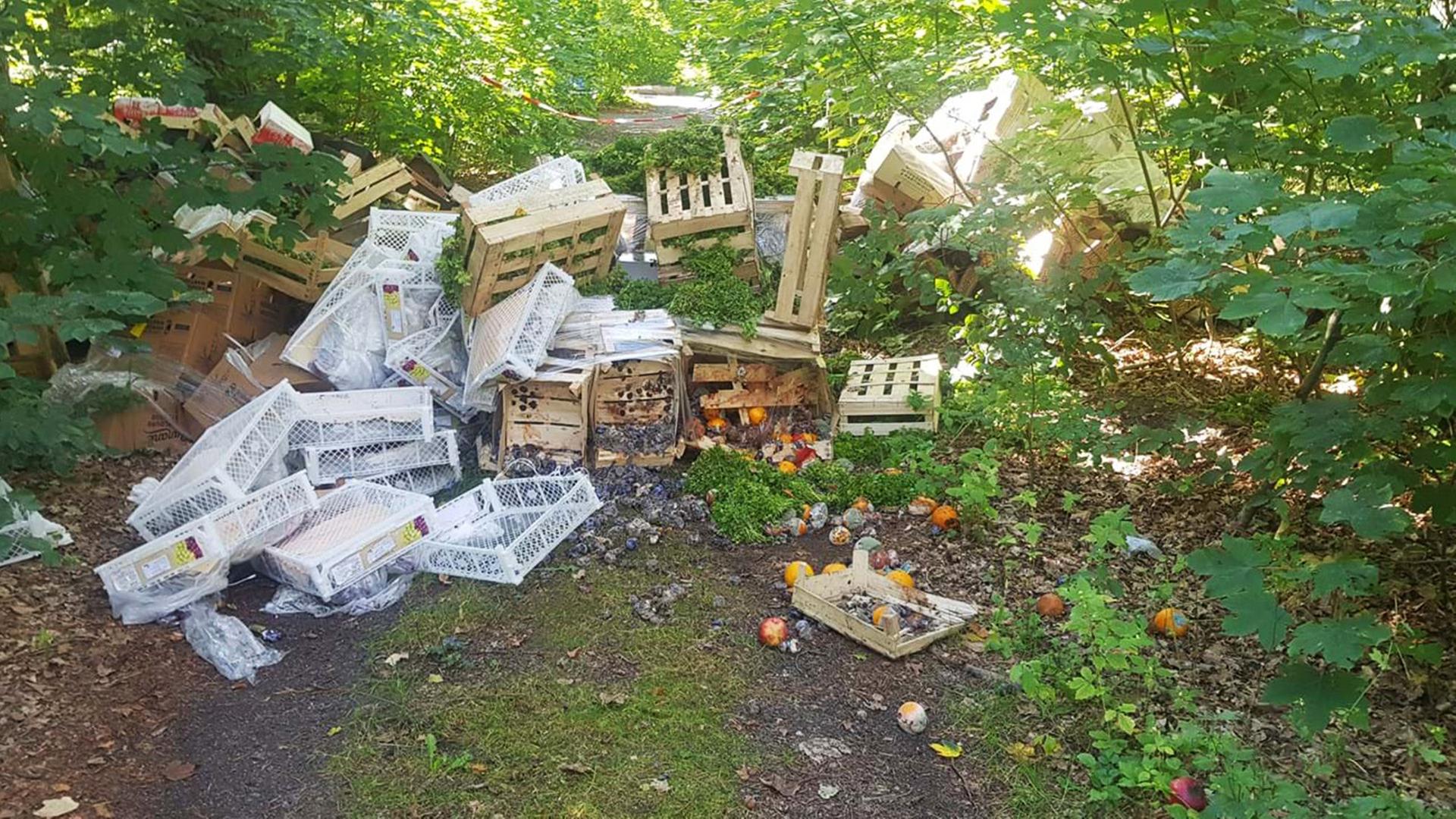Abfälle im Nauener Wald. (Quelle: Stadt Nauen) | Stadt Nauen