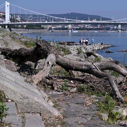 Blick auf die Donau in Budapest