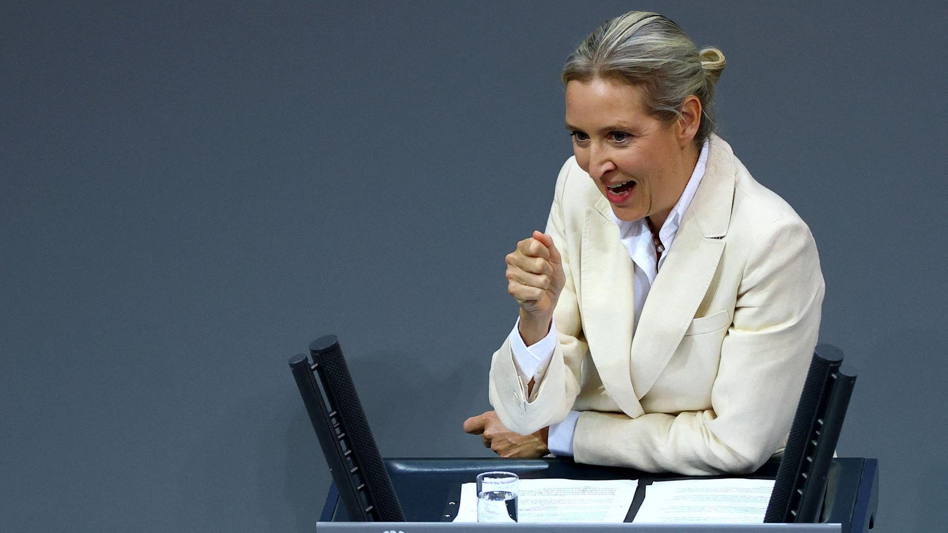 Alice Weidel | REUTERS