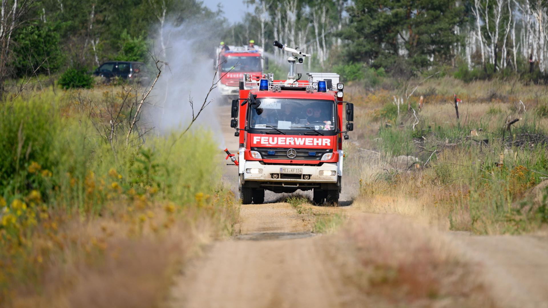 Zwei Feuerwehrwagen im Einsatz in der Gohrischheide | Robert Michael/dpa