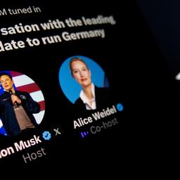 Konversation zwischen Elon Musk mit Alice Weidel auf der X Homepage 
