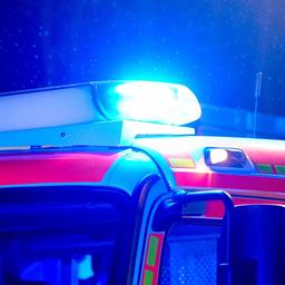 (Symbolbild) Blaulicht auf einem Feuerwehrauto. In Mainz-Weisenau hat ein brennender Weihnachtsbaum an Heiligabend ein Wohnhaus zerstört.