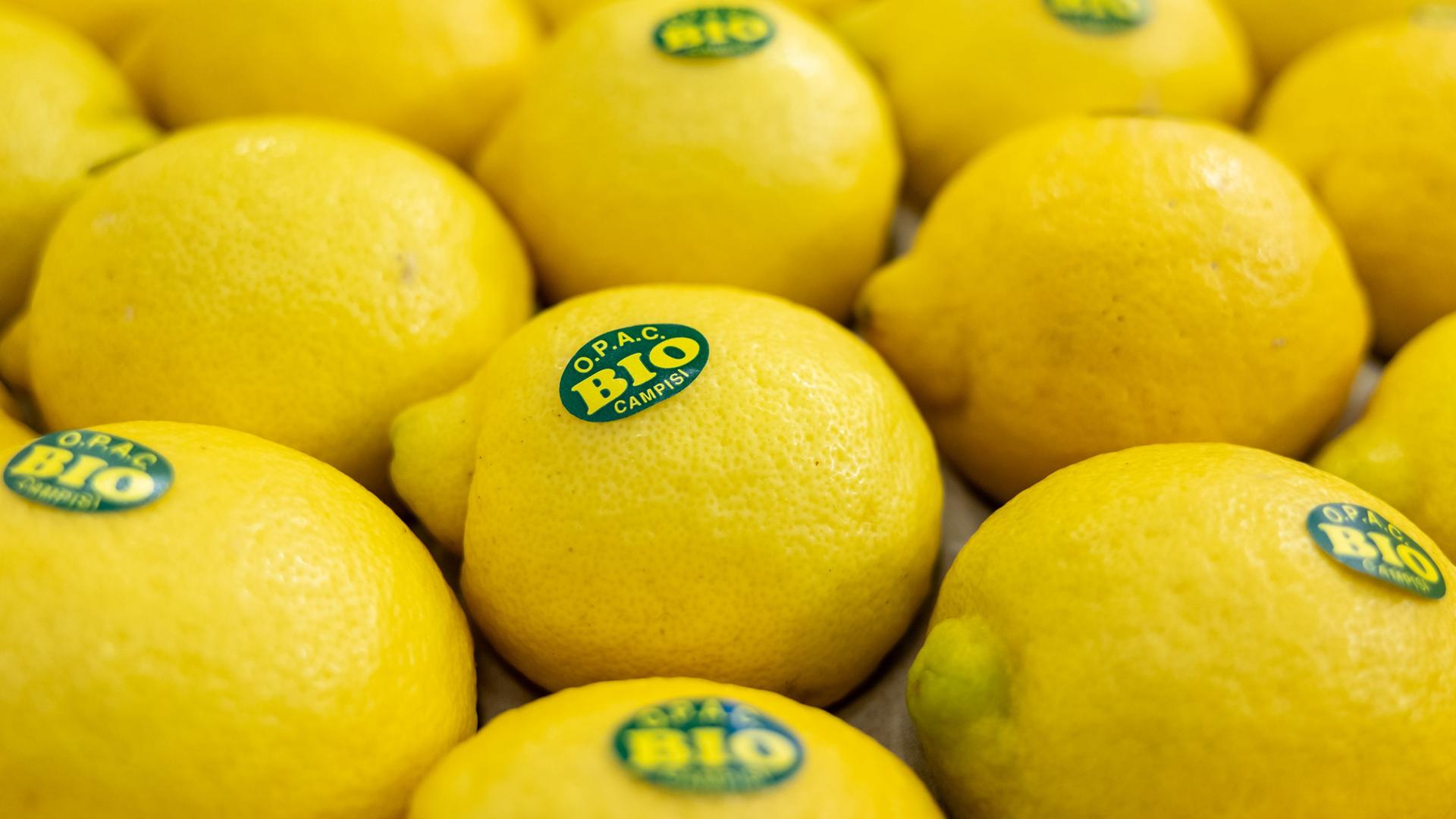 Zitronen mit Biosiegel | dpa