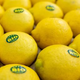 Zitronen mit Biosiegel
