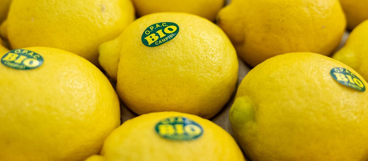 Zitronen mit Biosiegel