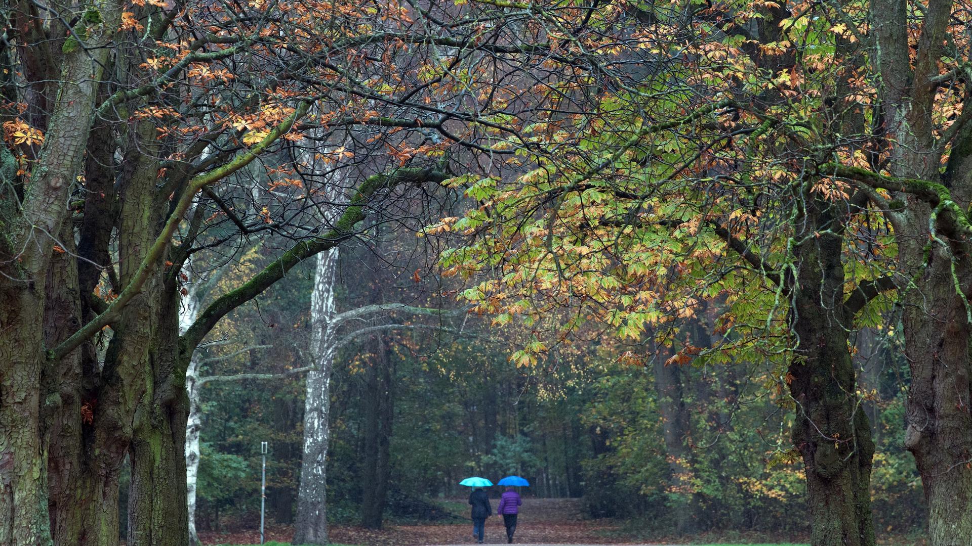 Herbst in NRW: Sonne und Wolken im Wechsel