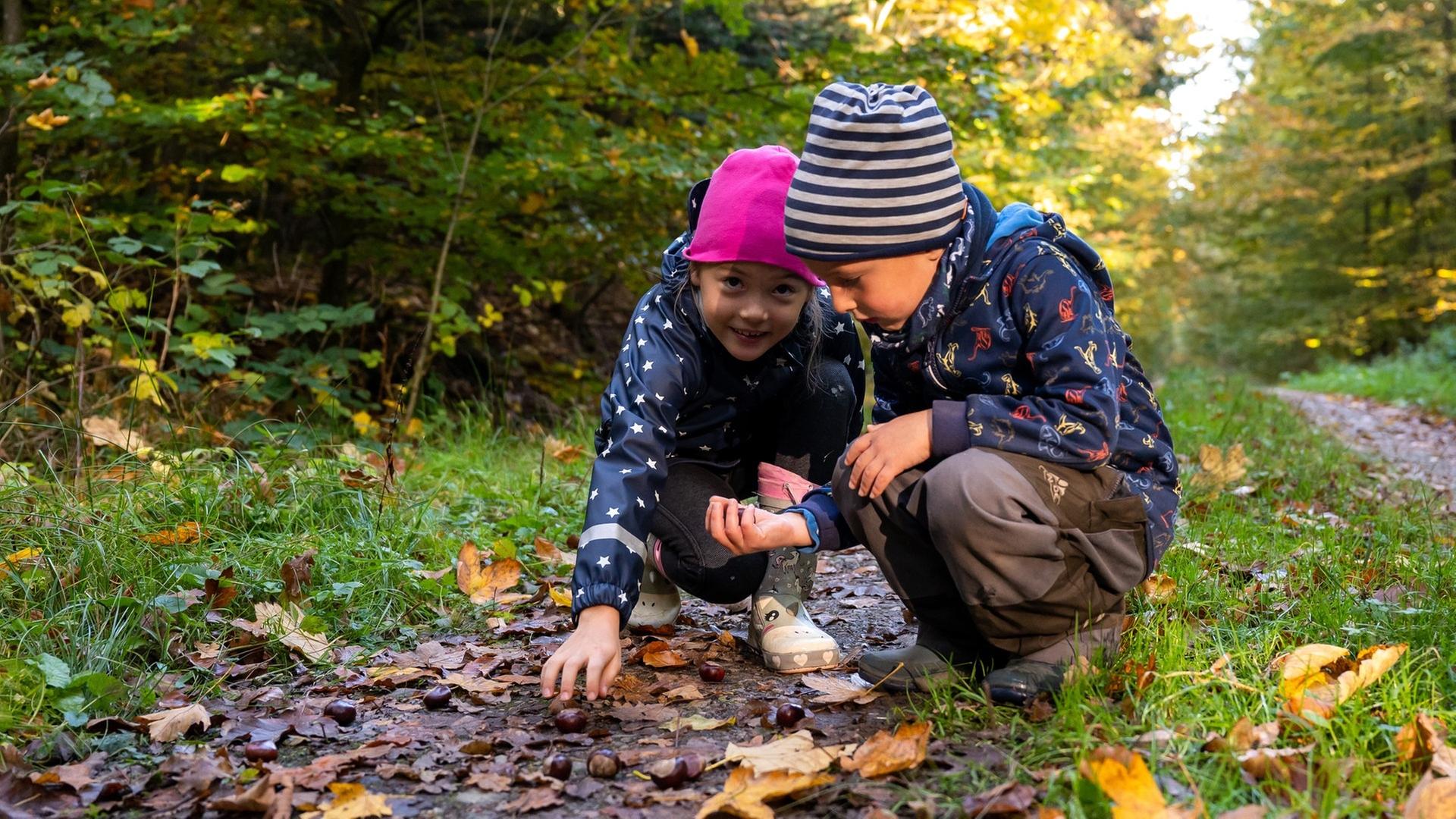 Zwei Kinder sammeln im Wald Kastanien: In RLP starten die Herbstferien. | picture-alliance / Reportdienste, picture alliance / dpa-tmn | Benjamin Nolte