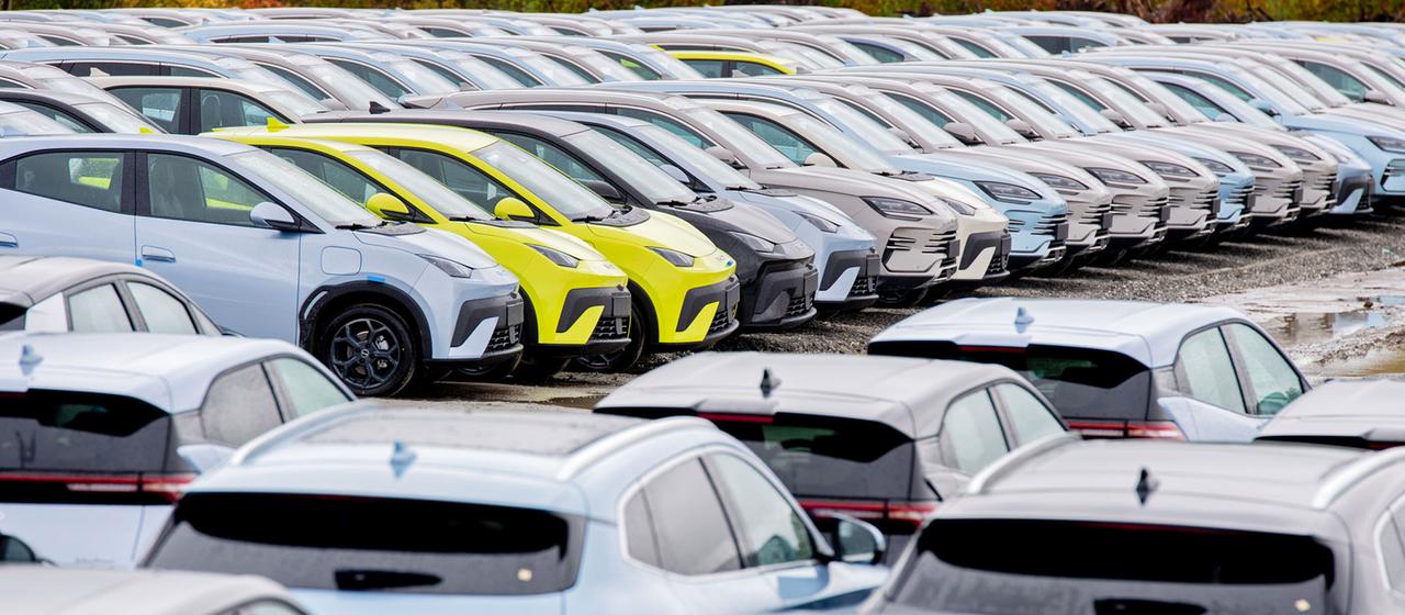 Neue Elektrofahrzeuge von Byd stehen auf einem Parkplatz im Hafengebiet.