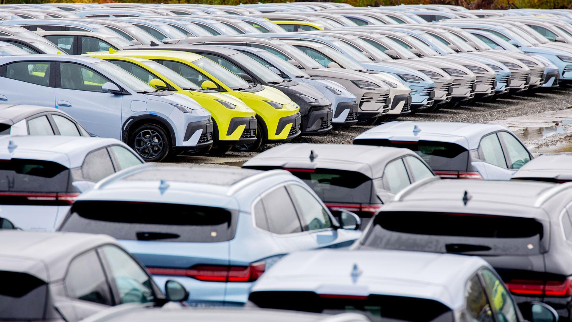 Neue Elektrofahrzeuge von Byd stehen auf einem Parkplatz im Hafengebiet. | picture alliance/dpa