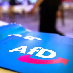 Fähnchen mit dem Logo der AfD liegen auf einem Tisch, Archivbild