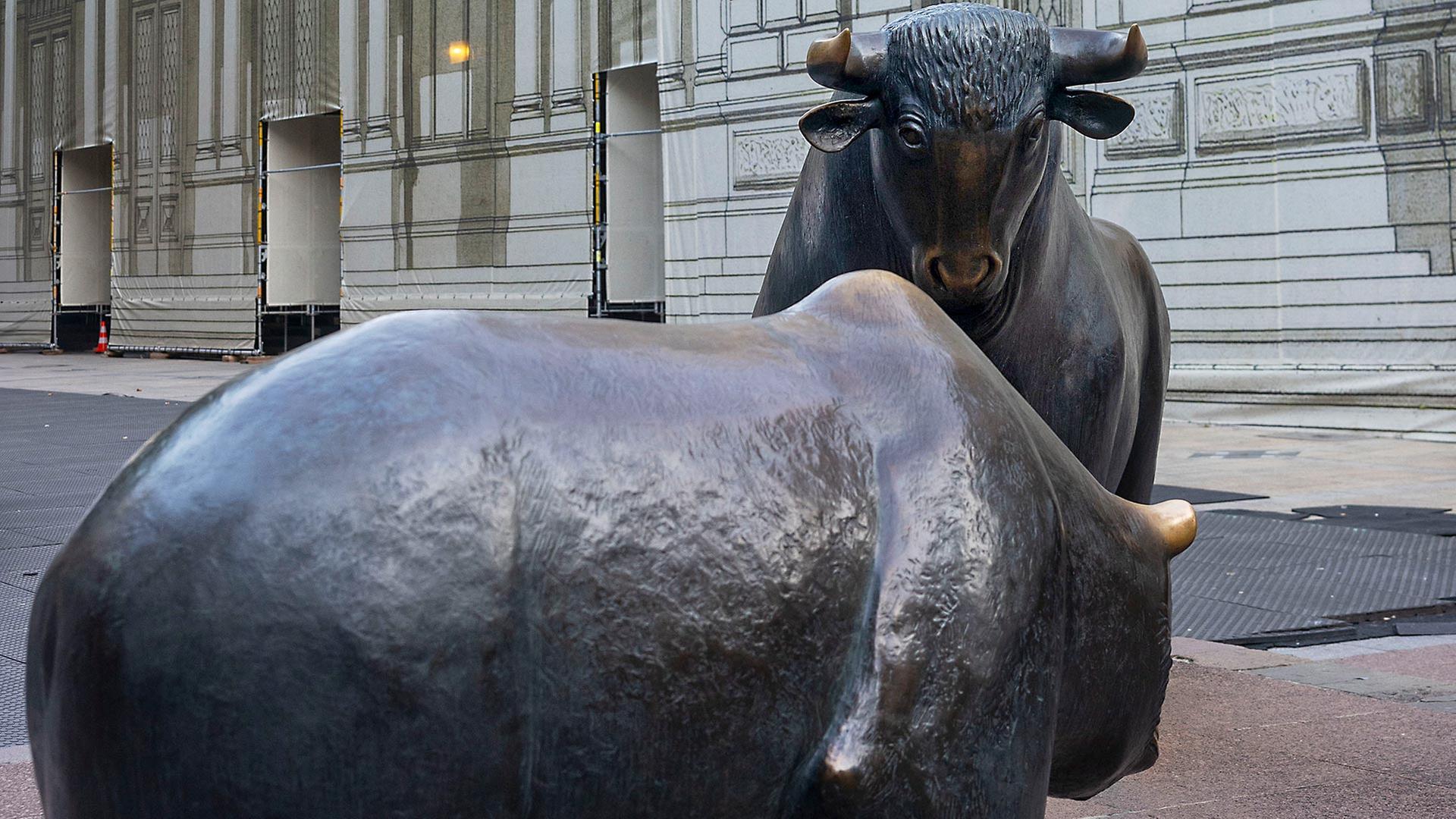 Bulle und Bär vor der Frankfurter Börse. | picture alliance/dpa