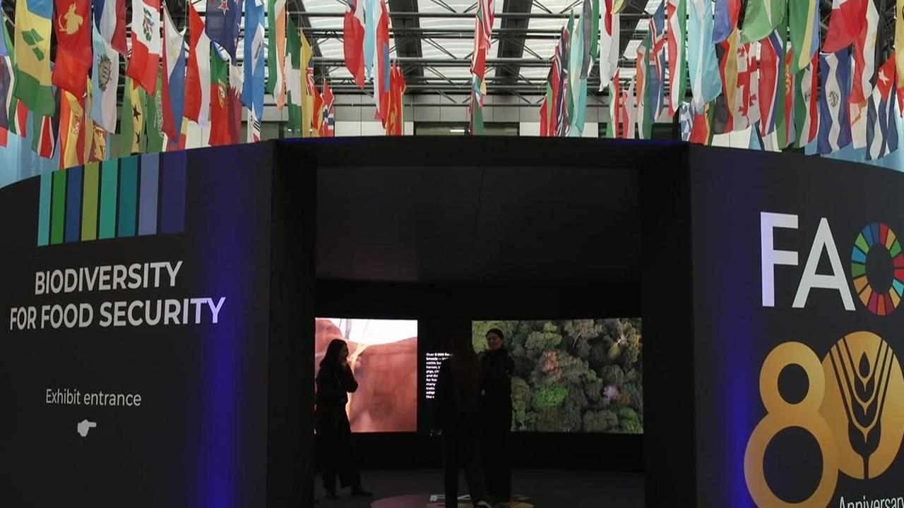 Weltnaturkonferenz in Rom zum Schutz von Tieren und Pflanzen