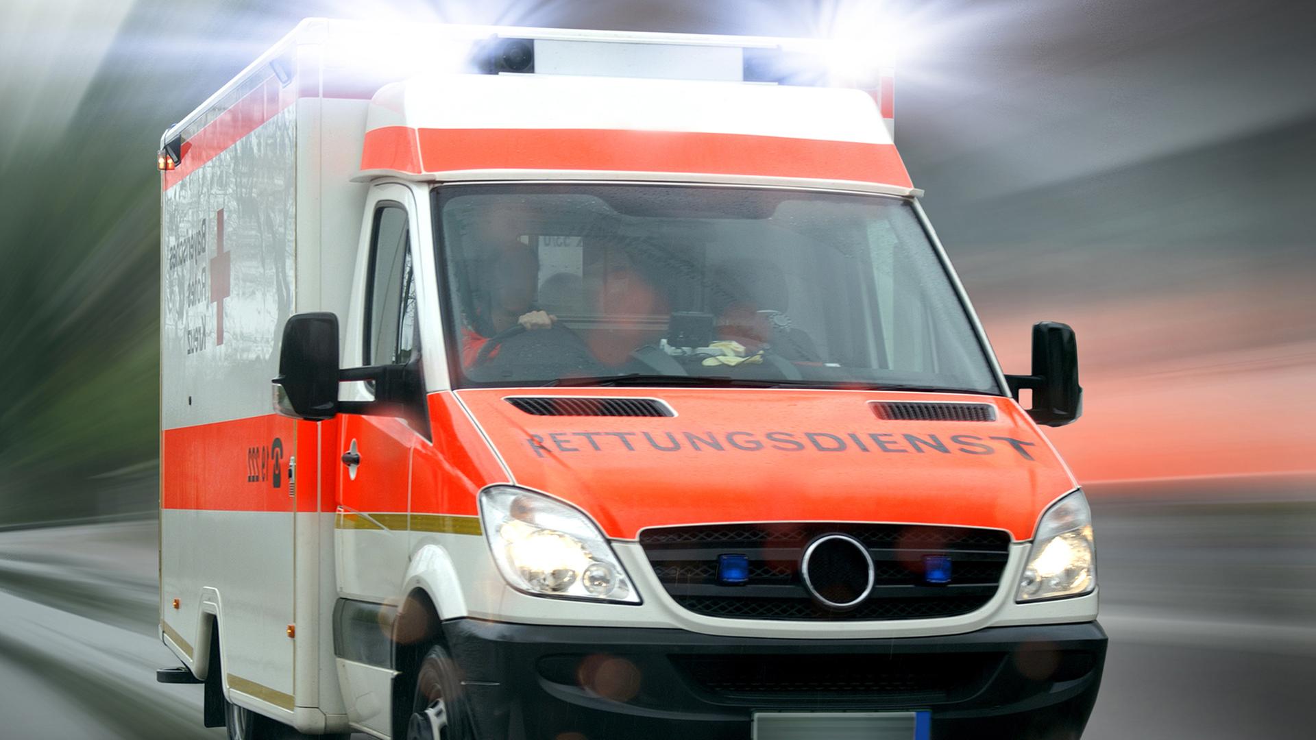 Marburg: Mann ersticht eigenen Hund, um seine Mutter zu retten