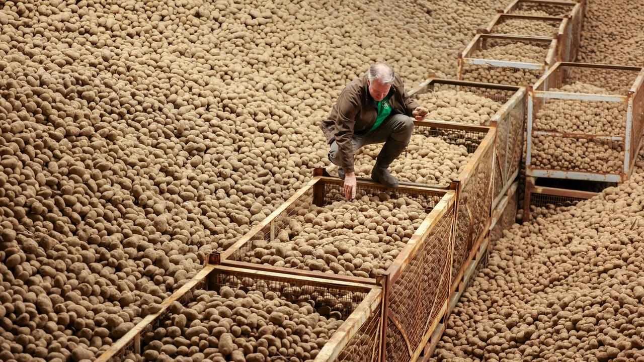Günstige Kartoffeln dämpfen Lebensmittel-Inflation | tagesschau.de