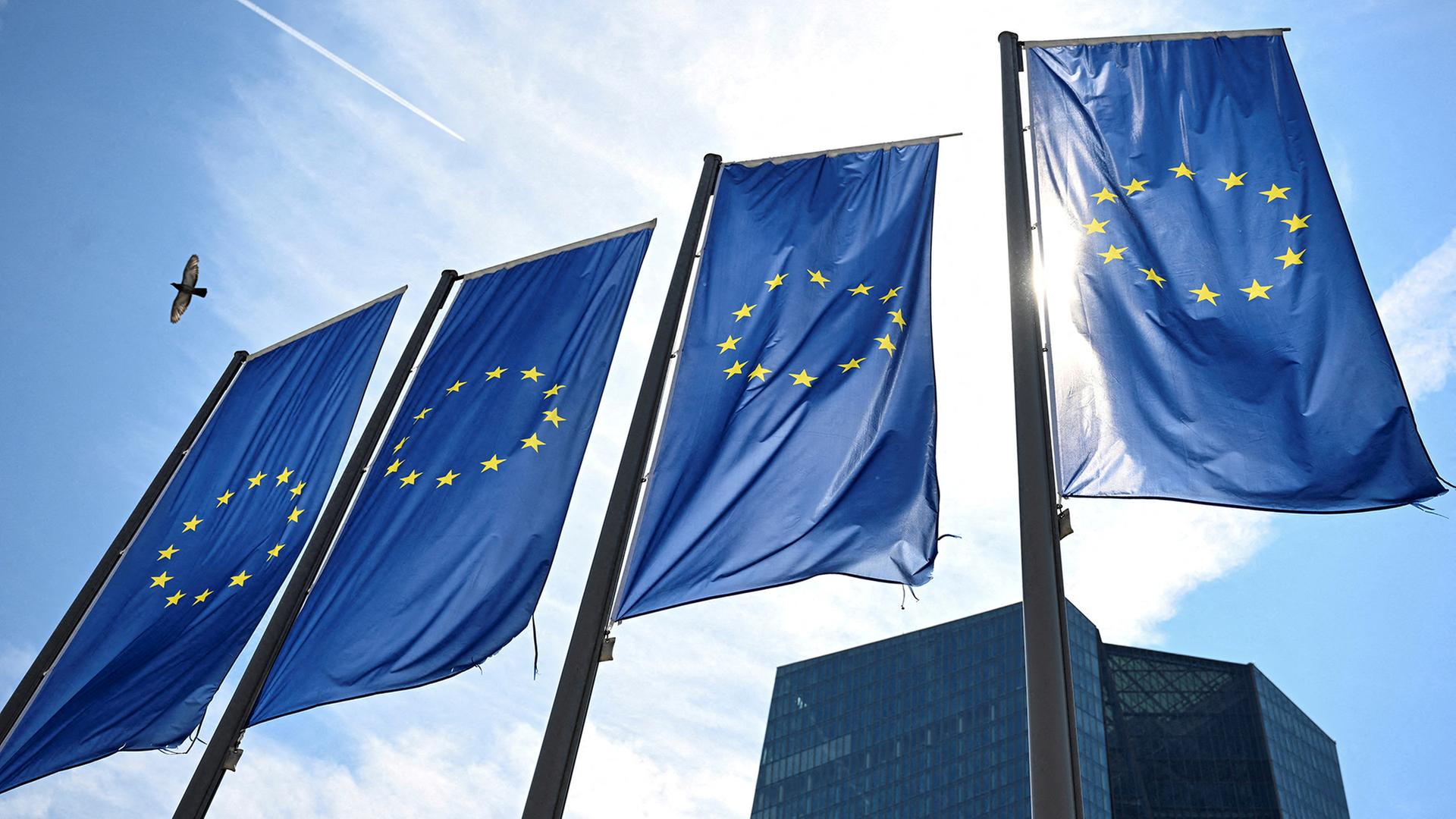 EU-Flaggen wehen im Wind. | REUTERS