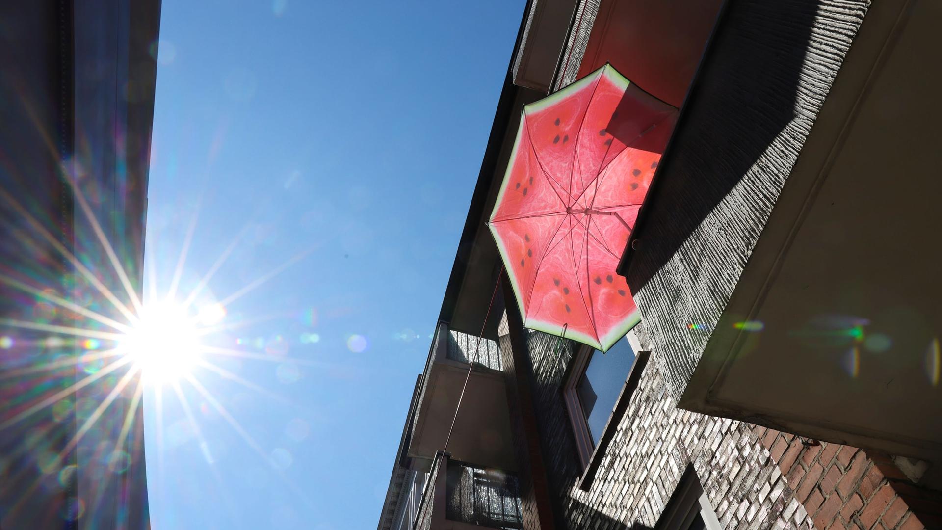 SPD-Ministerinnen legen bei Klimaplänen nach