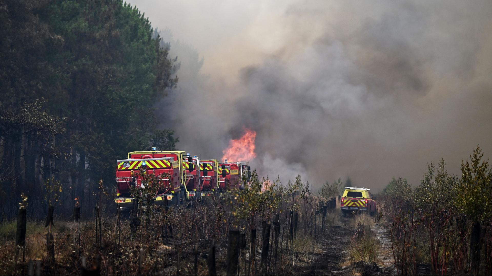 Feuerwehrleute bekämpfen einen Brand in der Nähe von Bordeaux. | AP Photo/Emma Da Silva